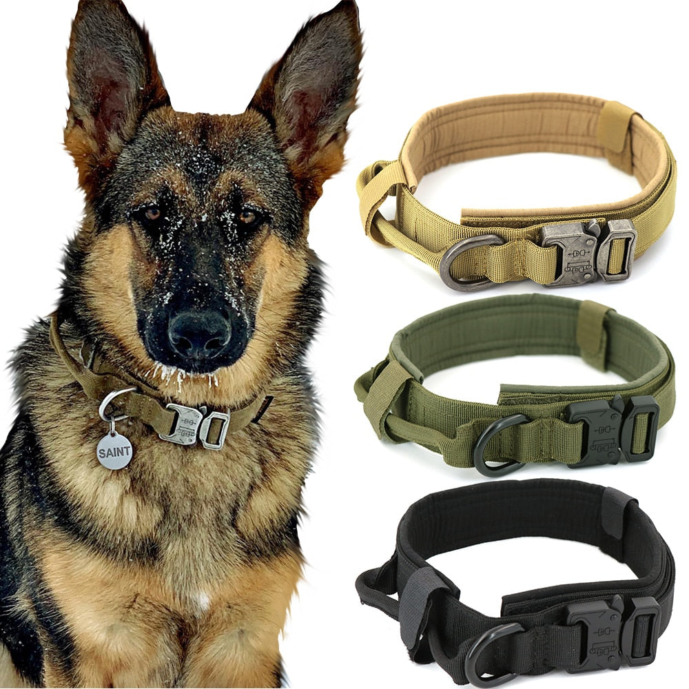 Dog CollarDog Collar