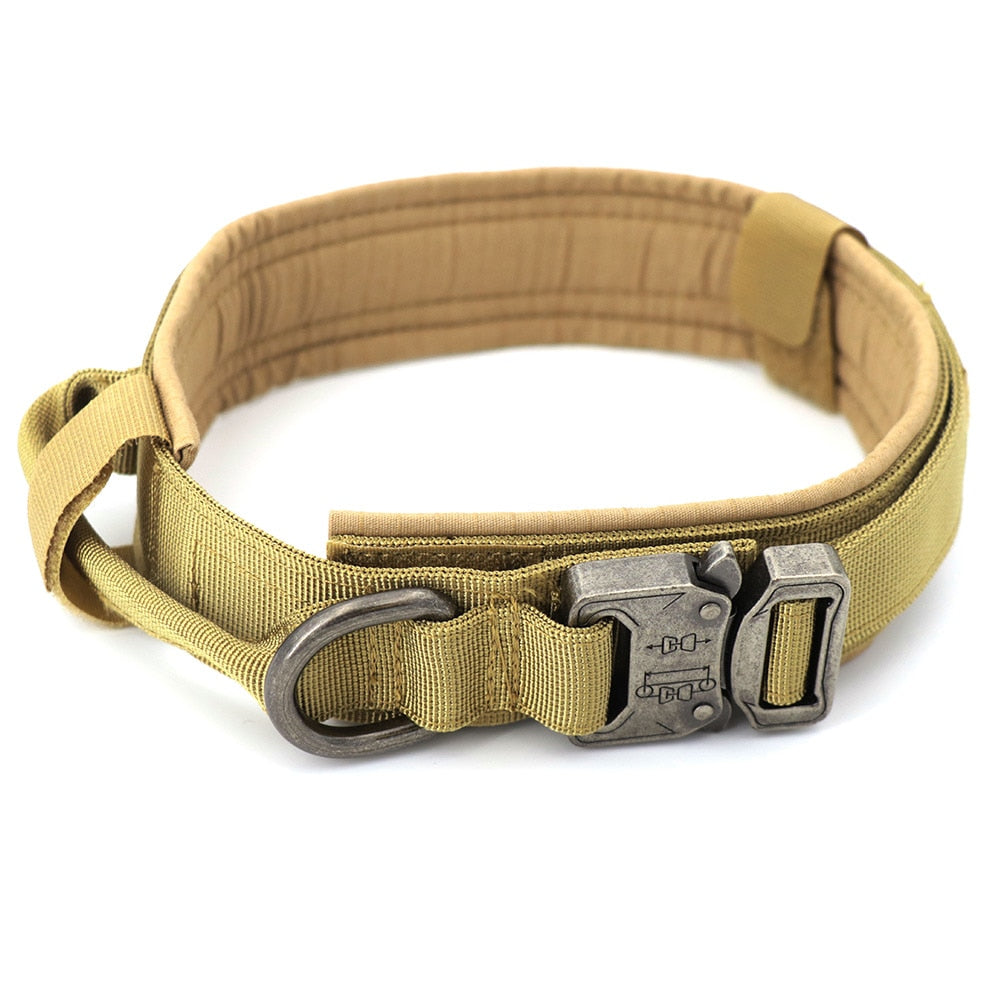 Dog CollarDog Collar