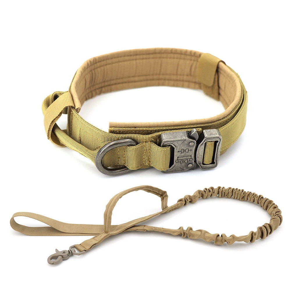 Dog CollarDog Collar