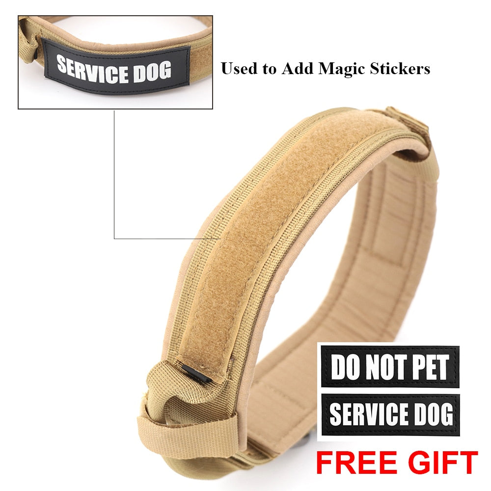 Dog CollarDog Collar